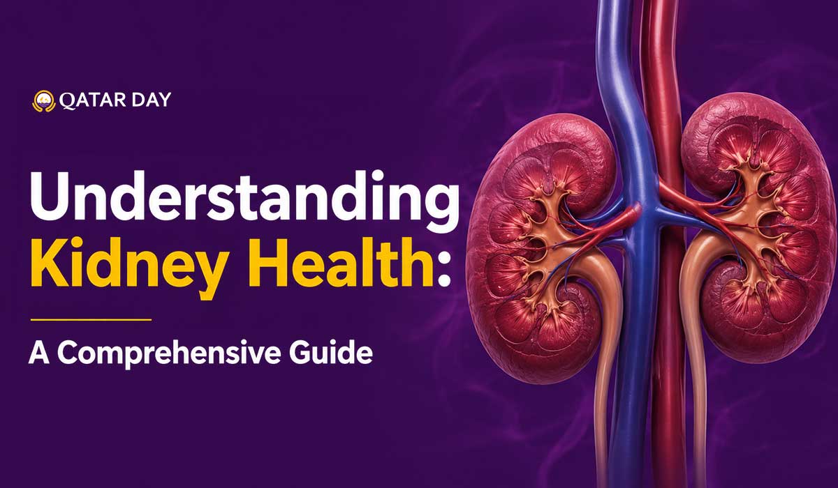 Understanding Kidney Health: A Comprehensive Guide